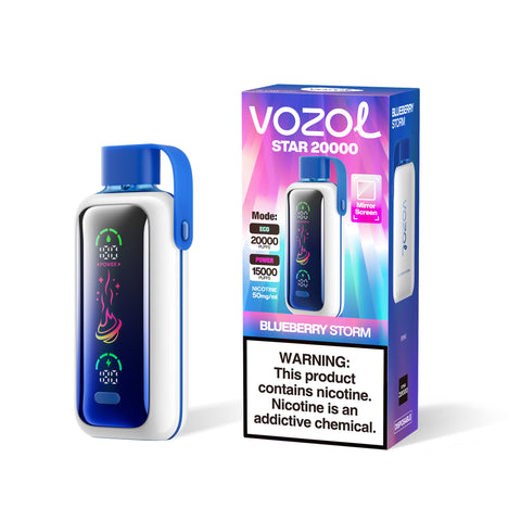 Vozol Blueberry Storm